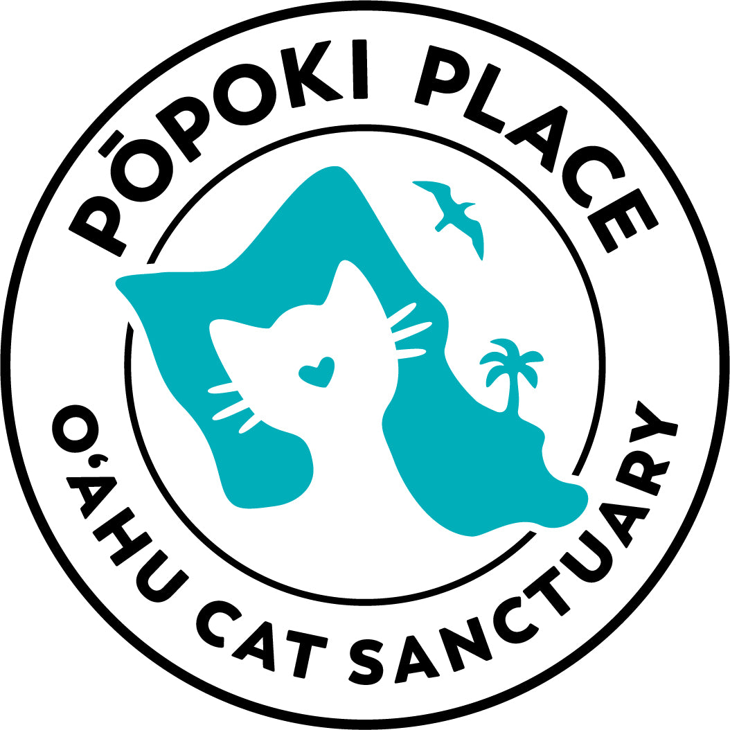 Popoki Place Oahu Cat Sanctuary
